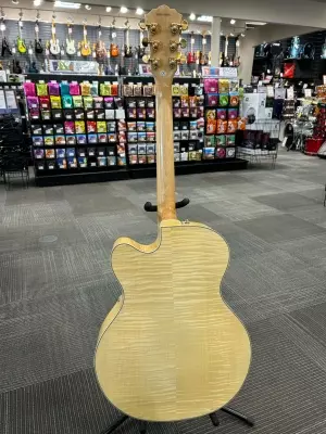 Washburn J-6s 4