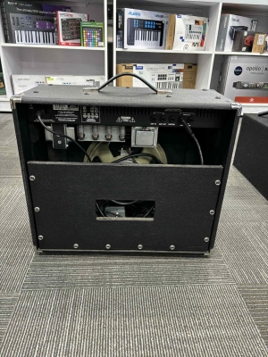 Store Special Product - Traynor - YGL2