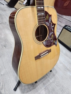 Gibson - ACOHBANGH 2