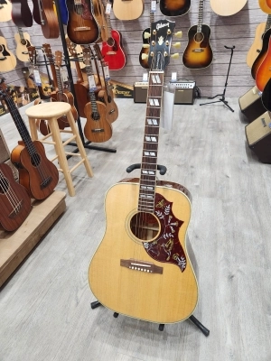 Gibson - ACOHBANGH