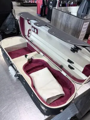 4/4 Violin Case