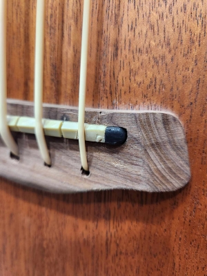 Gold Tone - M-BASS25 2