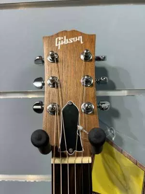 Gibson - ACGWRANNH 2