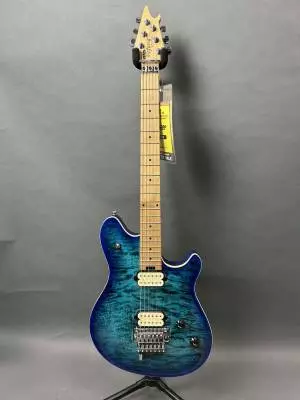 EVH - 510-7701-599
