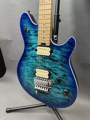 EVH - 510-7701-599 2