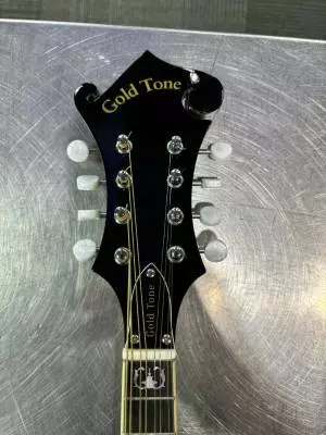 Gold Tone - GM-35 2