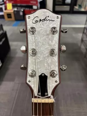 Godin Guitars - G48465 3