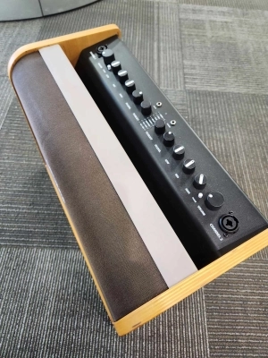 Fender - ACOUSTIC 100 120V 2