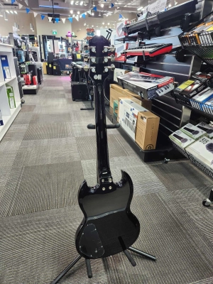 Epiphone - ES1PPSGEBNH 3