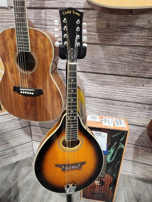 GOLDTONE A STYLE ARCHTOP SOLID TOP MANDOLIN