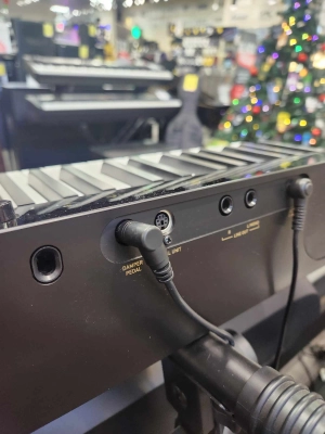 Casio - PX-S5000BK 2