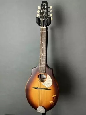 Seagull Guitars - S42500