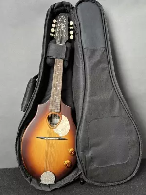Seagull Guitars - S42500 2