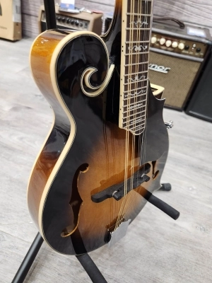 Store Special Product - Gold Tone - GM-35