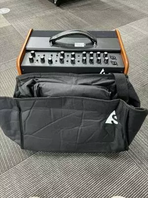 Godin Guitars - G50154 2