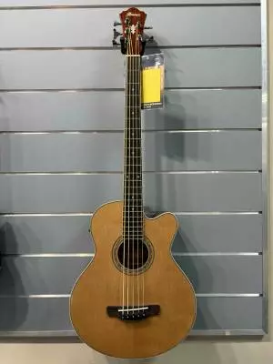 Ibanez - AEB105E-NT