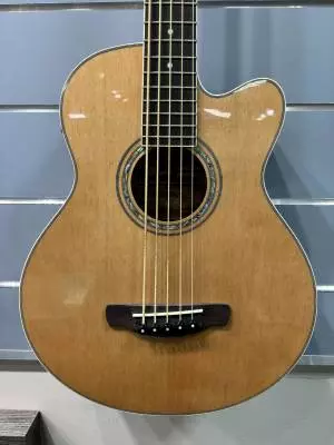 Ibanez - AEB105E-NT 2