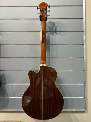 Ibanez - AEB105E-NT 2