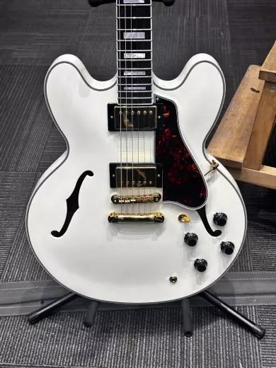 Store Special Product - Epiphone - EC35559CWVGH