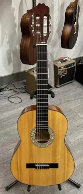 Denver - 4/4 Size Classical Guitar DC44N-NAT