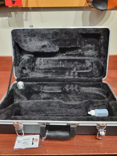 Budget Trumpet (ETR420) 2