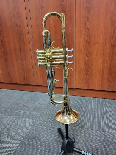 Budget Trumpet (ETR420)