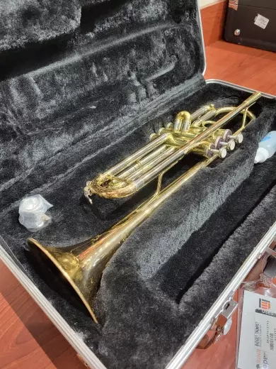 Budget Trumpet (ETR420) 2