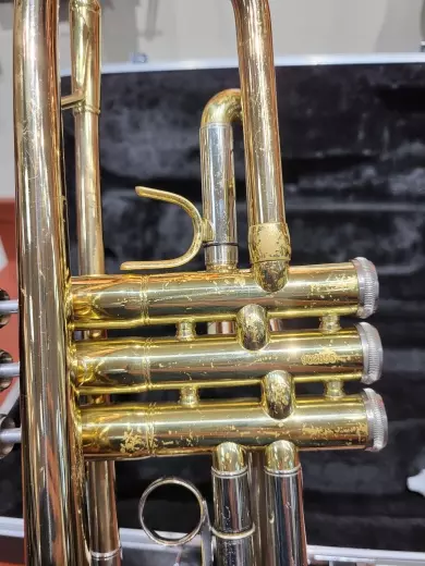 Budget Trumpet (ETR420) 2