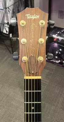 TAYLOR 710-B 25TH ANNIVERSARY BRAZILLIAN ROSEWOOD 2