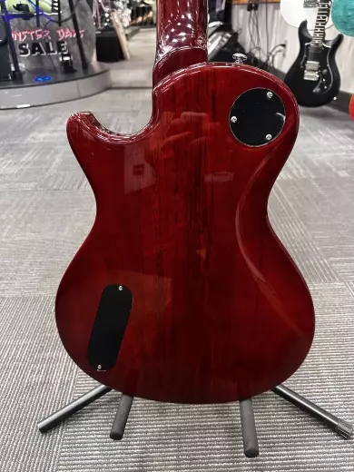 Paul Reed Smith - BMVS 2