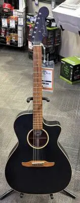 Fender - NEWPORTER SPECIAL