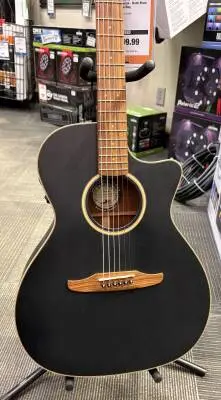 Fender - NEWPORTER SPECIAL 2