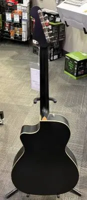 Fender - NEWPORTER SPECIAL 2