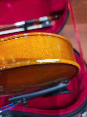 Store Special Product - Eastman Strings - VL80LM 1/2 OF