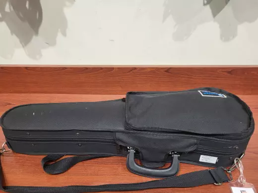 Eastman Strings - VL80LM 1/2 OF 2