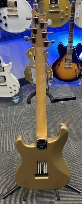 PRS S2 - SILVER SKY GOLDEN MESA 106014:J7:13W 4
