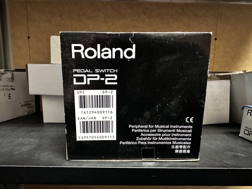 Roland - DP-2