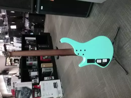 Ibanez - EHB1005MSSFM 2