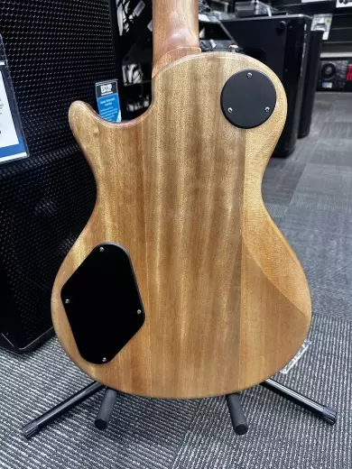 PRS SE ZACH MYERS BLUE / FISHMAN P/U'S 2