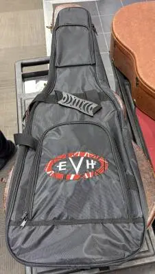 EVH - FRANKIE RELIC VINTAGE SUNBURST 2