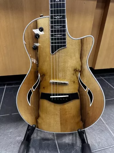 Taylor T5Z Custom LTD African Blackwood 2