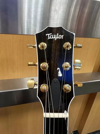Taylor T5Z Custom LTD African Blackwood 3