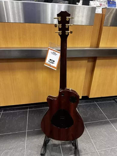 Taylor T5Z Custom LTD African Blackwood 4