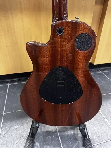 Taylor T5Z Custom LTD African Blackwood 5