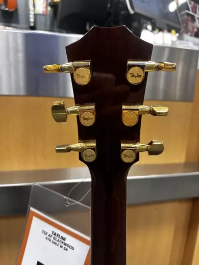 Taylor T5Z Custom LTD African Blackwood 6