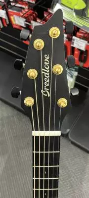 BREEDLOVE OREGON CONCERT 25TH 2