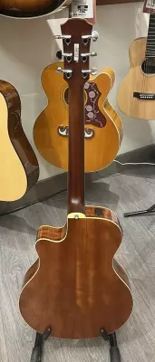 Yamaha - APX700II NT 4