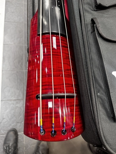 NS Designs - WAV4C-BASS-TRD 2