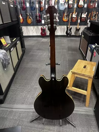 Epiphone - ETCA1965 4