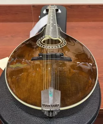 Eastman Guitars - A-STYLE/OVAL HOLE MANDOLIN MD504 2
